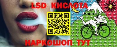 стаф Волгодонск