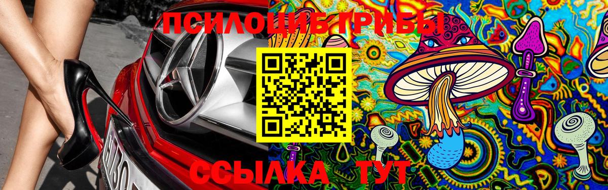 Новоалександровск  Галлюциногенные грибы Magic Shrooms  Вход с VPN 