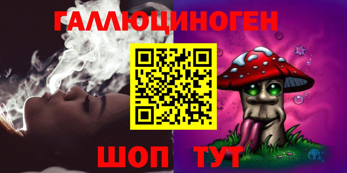 Галлюциногенные грибы Psilocybe Новоалександровск